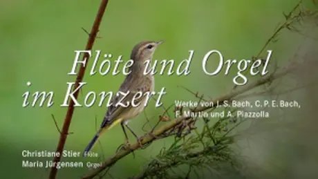 Flute and organ in concert