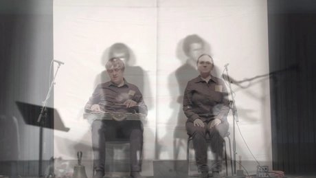 Ensemble Adapter: Vis-à-Vis