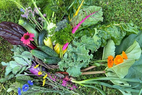 Experience the Diversity of Crops Through the Senses
