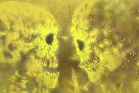 Natacha Donzé ꟾ valeurs refuge