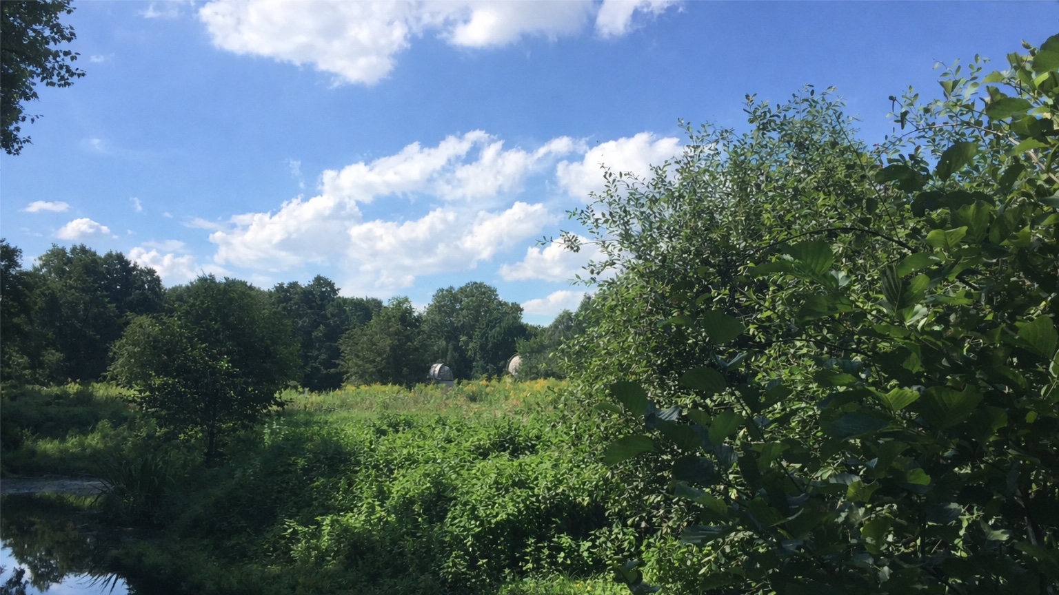 Meditation in Treptower Park #4