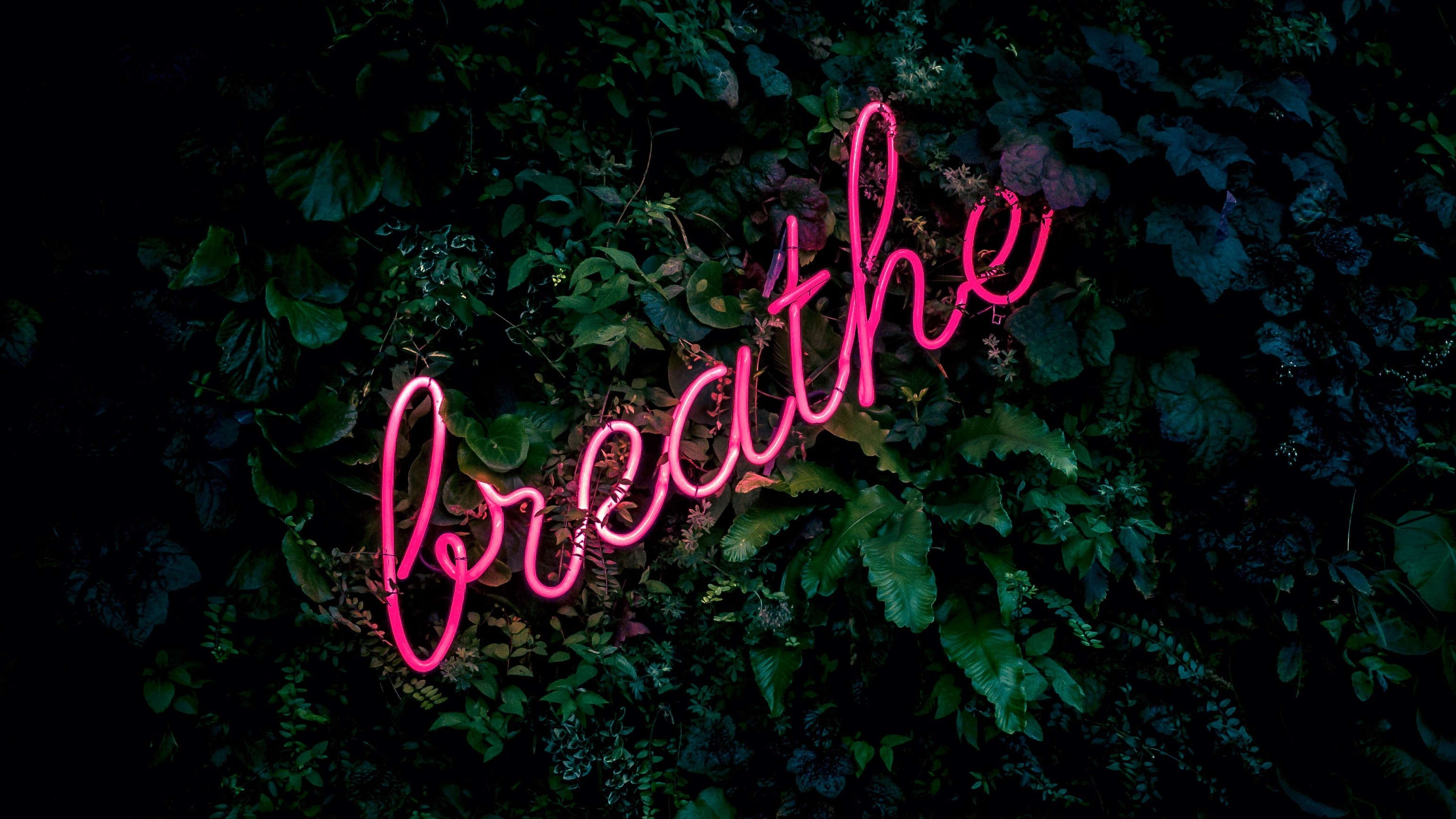 Weekend Starter ✖️✖️✖️ Self Care Yoga — Lifestyle ❤︎ ❤︎ ❤︎