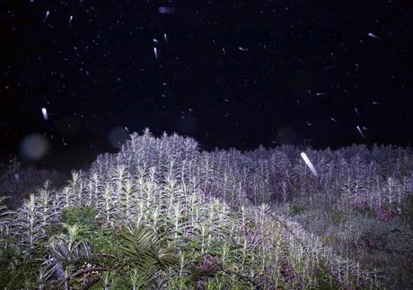 19th IBB Prize for Photography