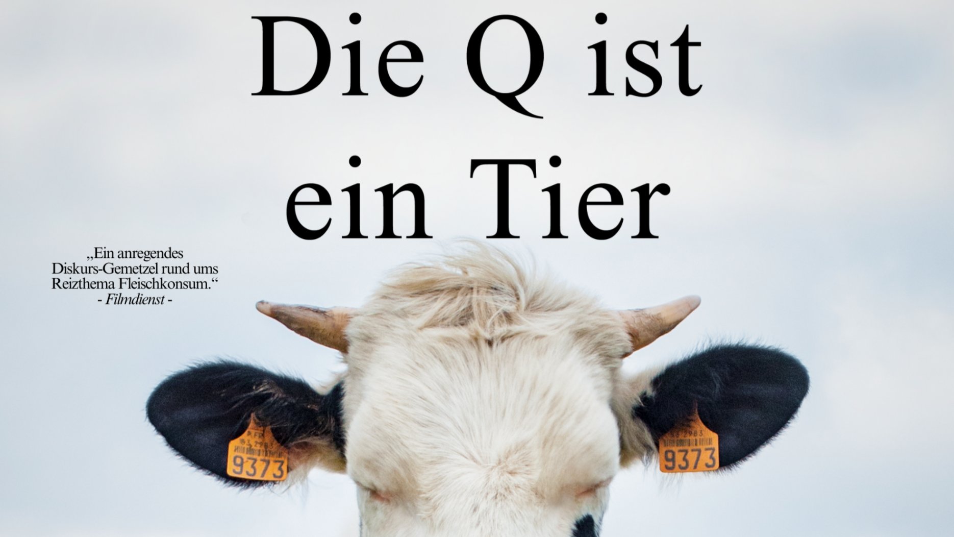 Wohnzimmer Kino und Vegane Burgers