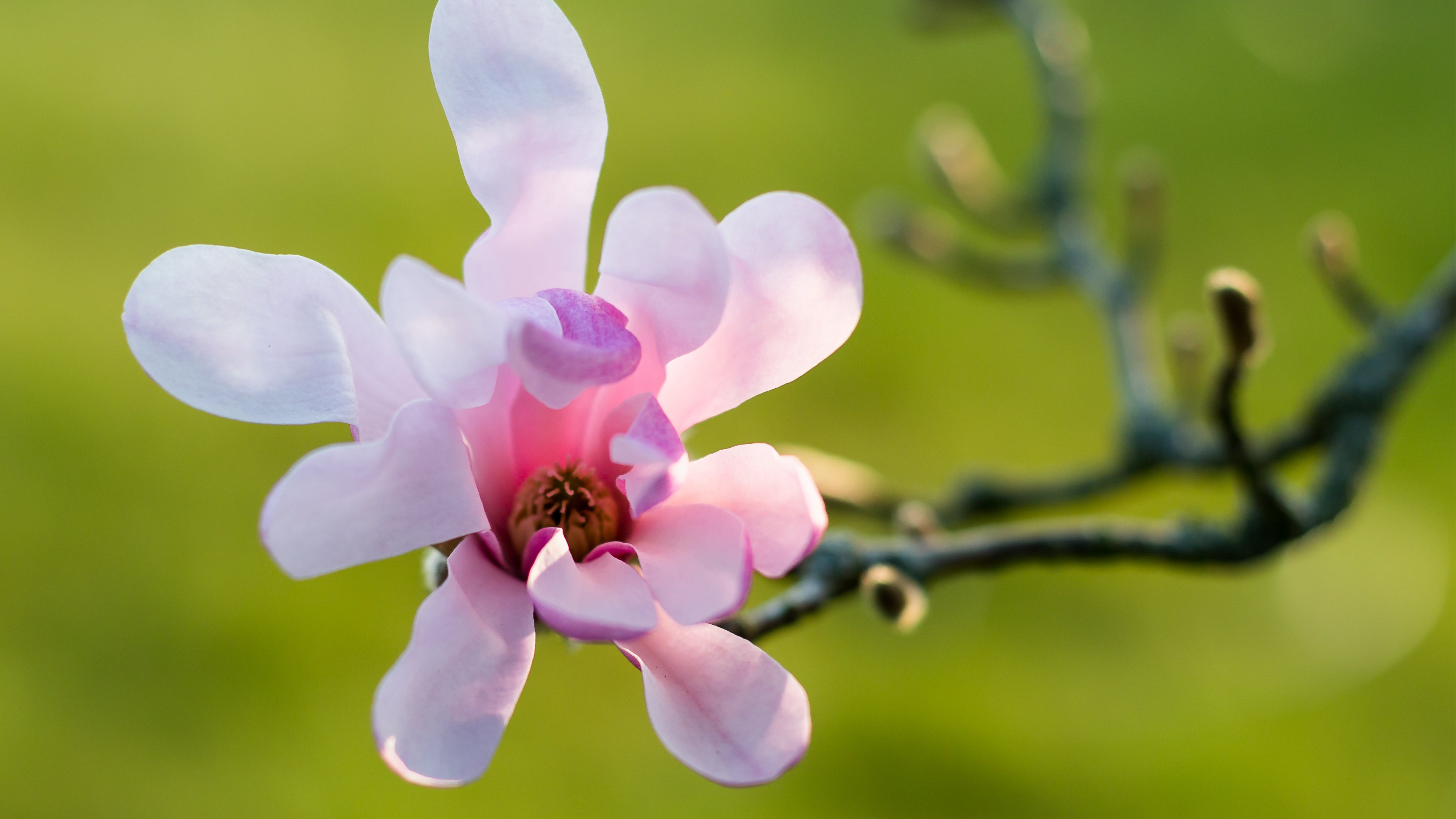 Frauengruppe: Thema - Neuanfang