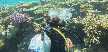 Faktur/Natur – Themed tour (GER)