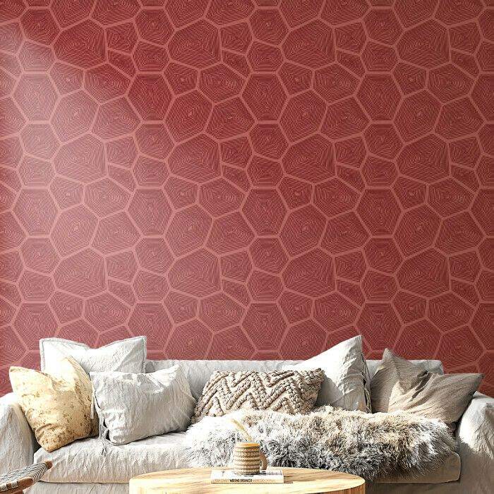 Red Hexagonal Pattern