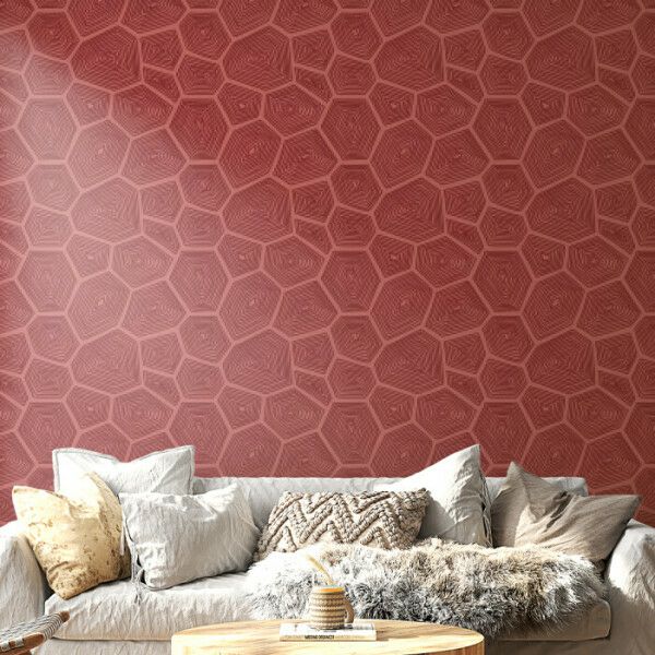 Red Hexagonal Pattern