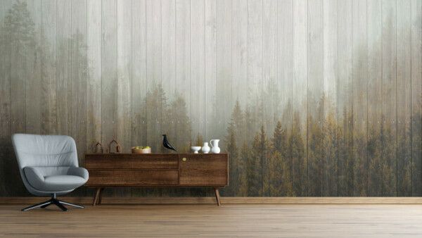 Misty Forest Overlay