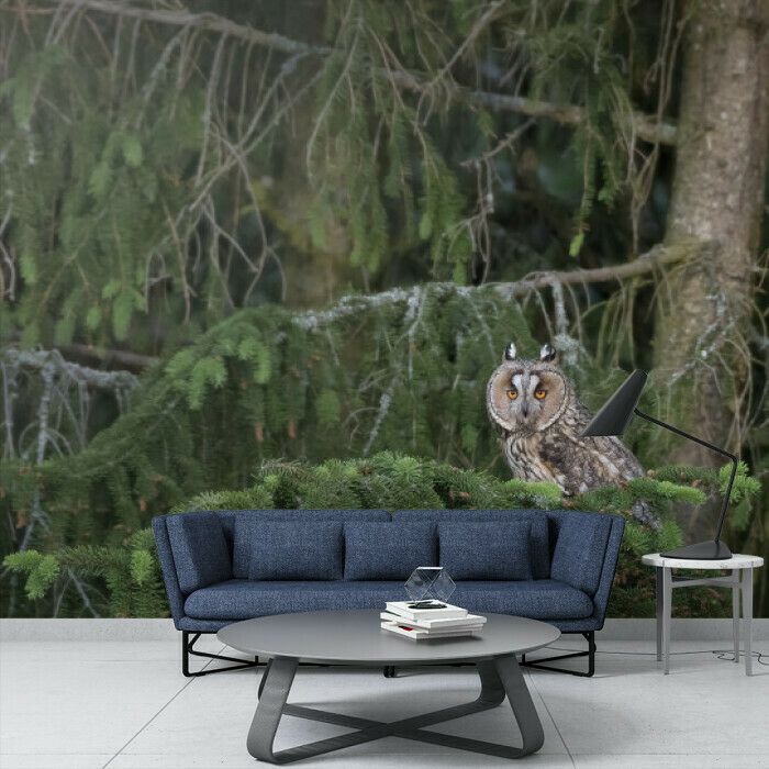 Mystic Forest Owl
