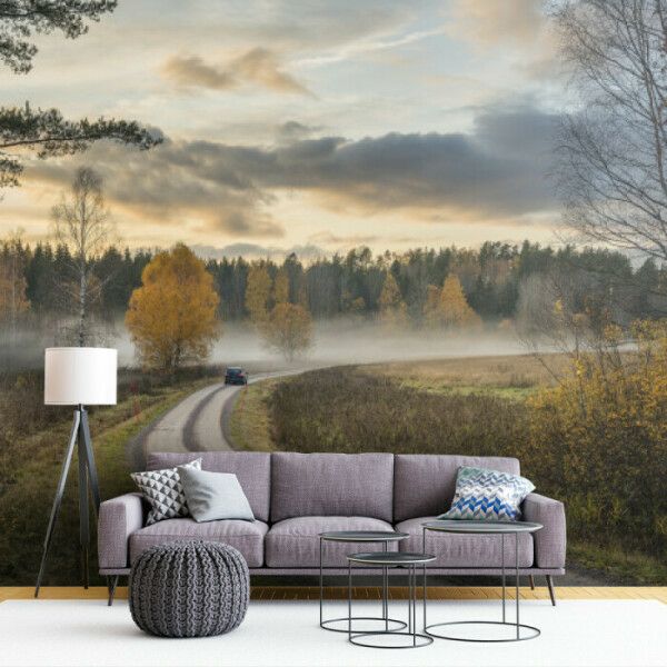 Misty Forest Road