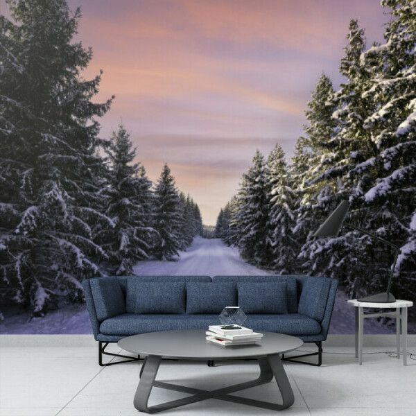 Winter Serenity