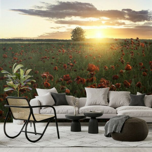 Sunset Poppies Field