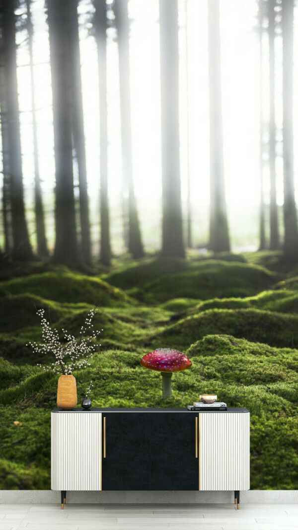Enchanted Forest Light