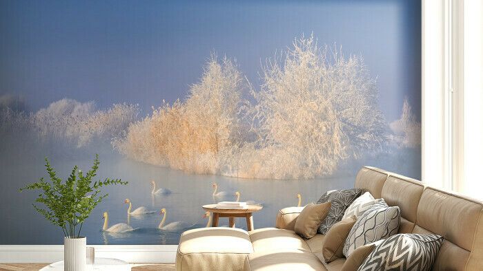 Serene Winter Swans