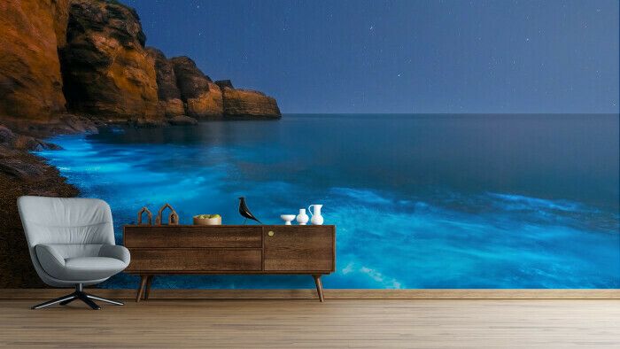 Midnight Shores