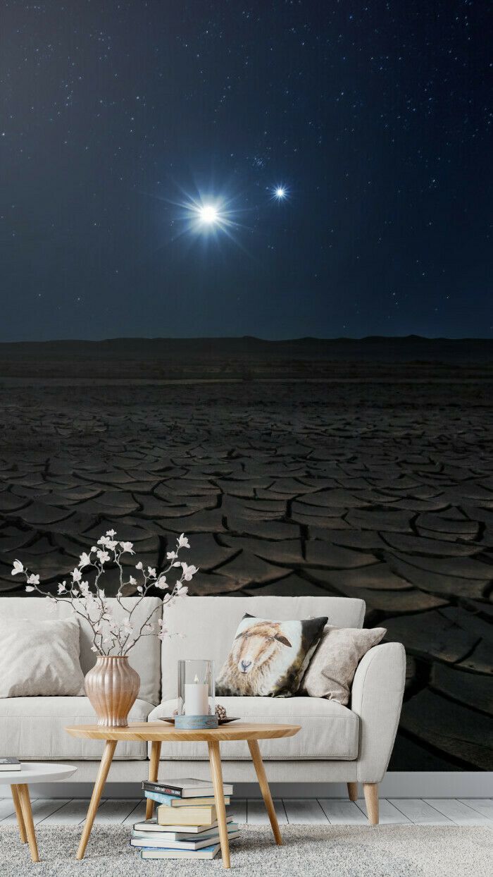 Starry Night Over Cracked Desert