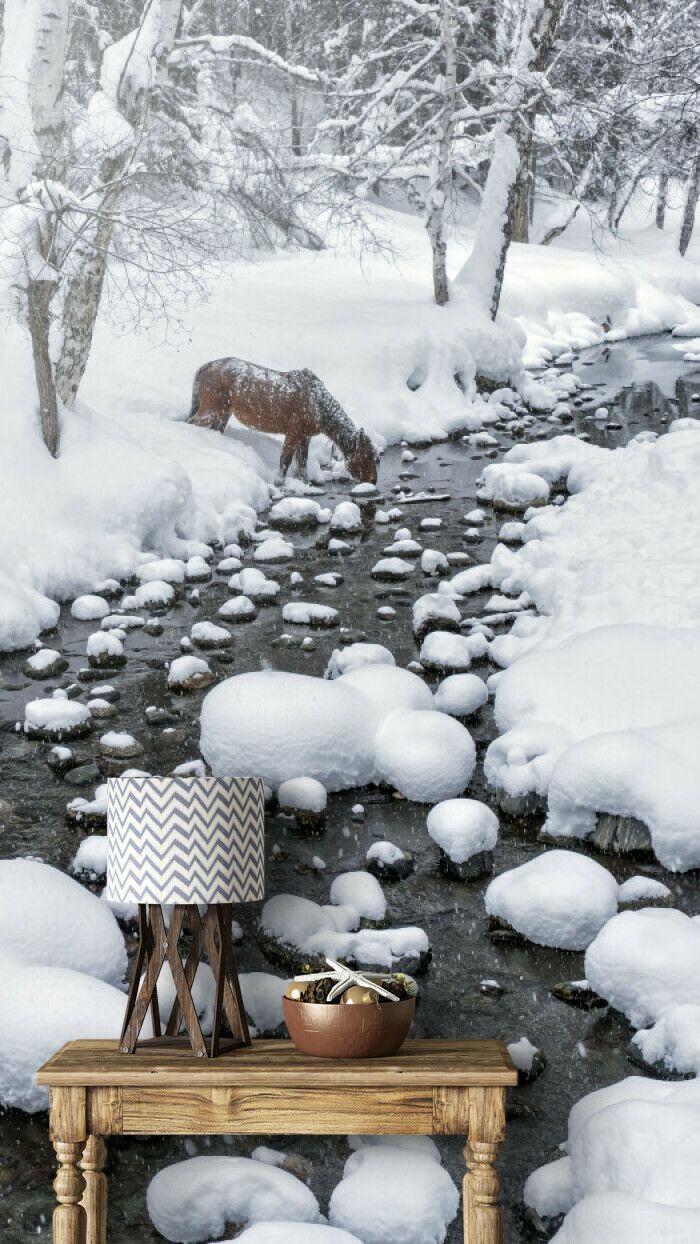 Winter Serenity