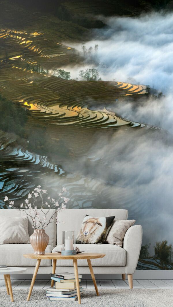 Mystical Terraces