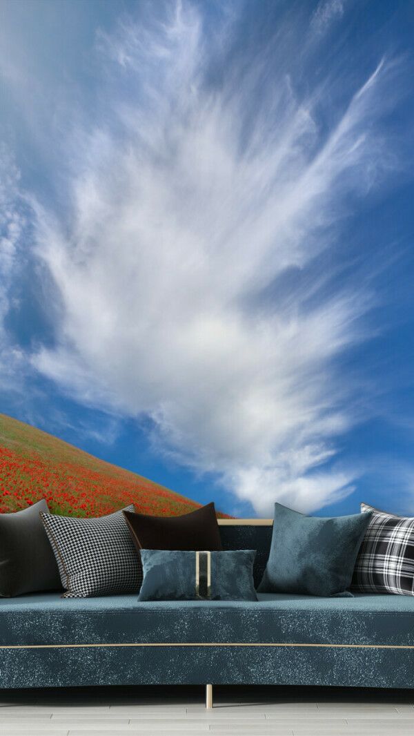 Blooming Poppy Field