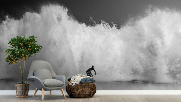 Monochrome Wave Rider