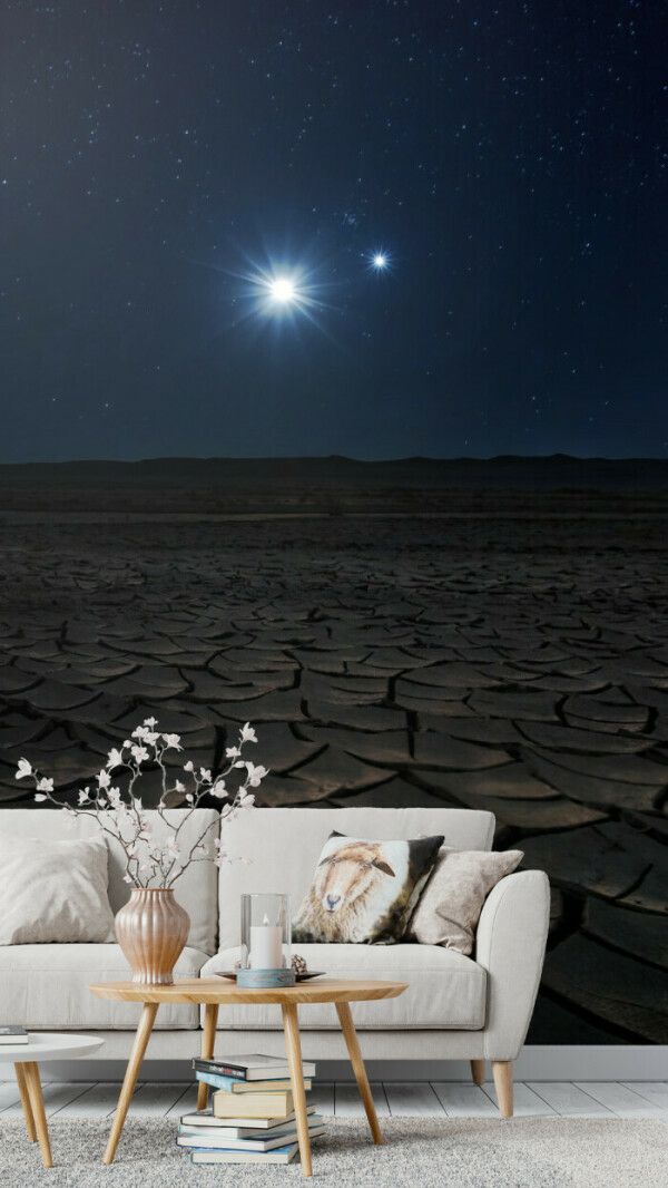 Starry Night Over Cracked Desert