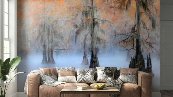 Misty Autumn Forest