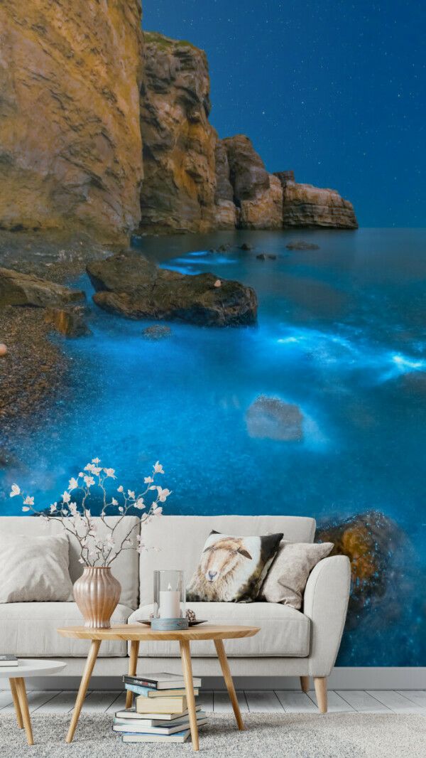 Starry Cliffs and Luminous Tides