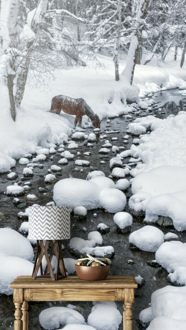 Winter Serenity