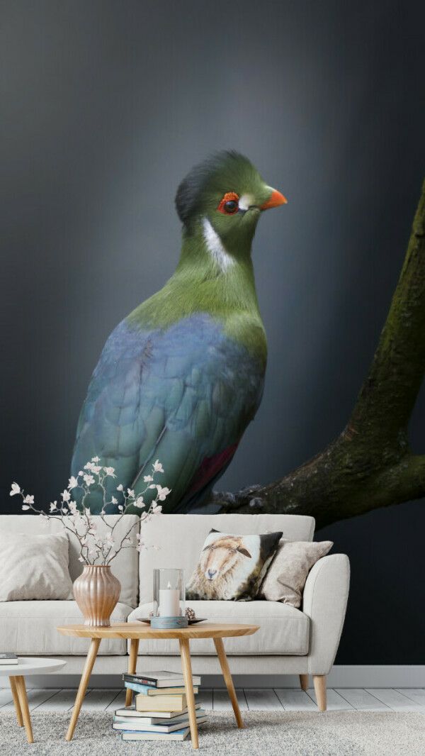 Mystic Avian Grace