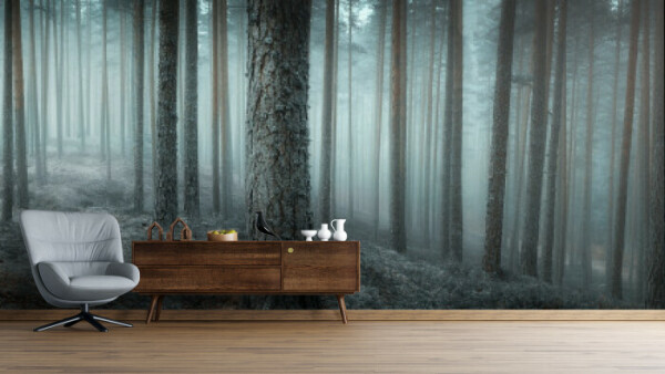 Misty Forest Awakening