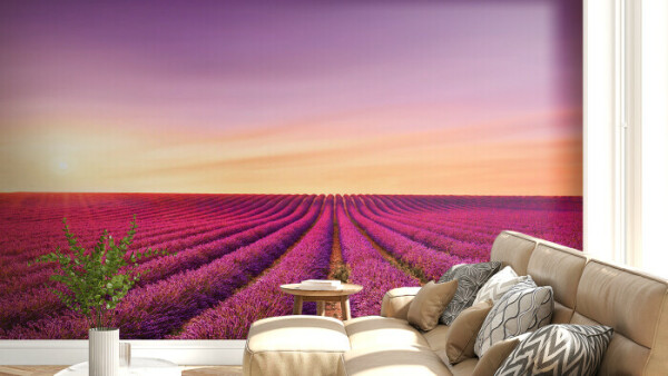 Lavender Field Sunset