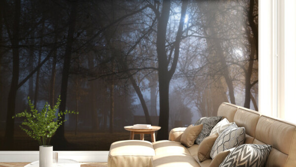 Mystical Forest Fog