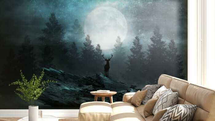 Mystic Moonlight Forest