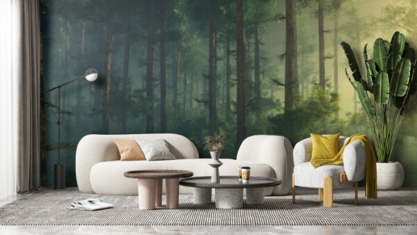 Misty Forest Dawn