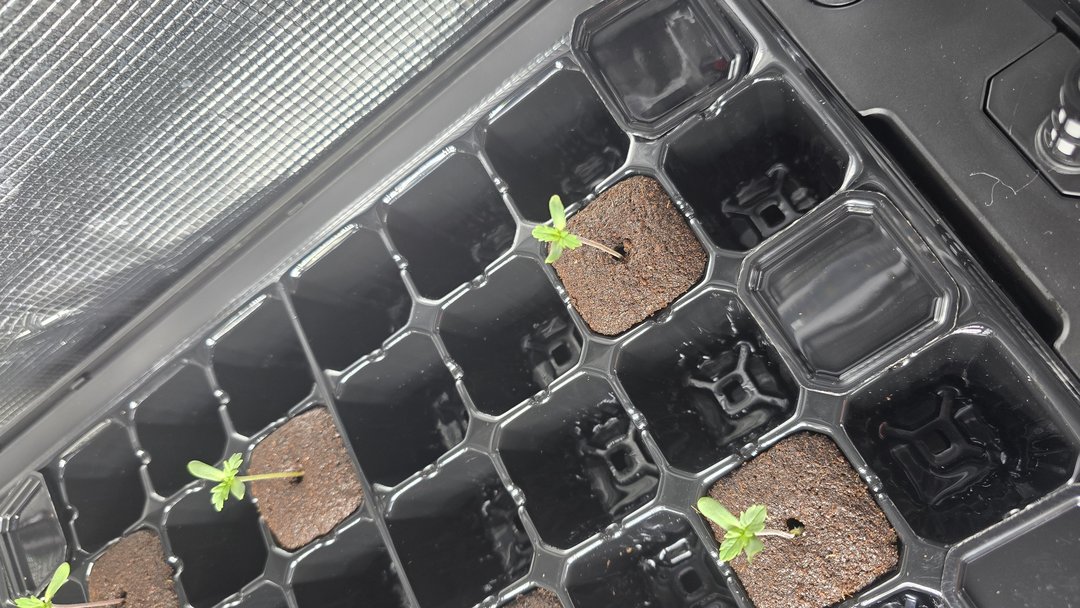 post_image