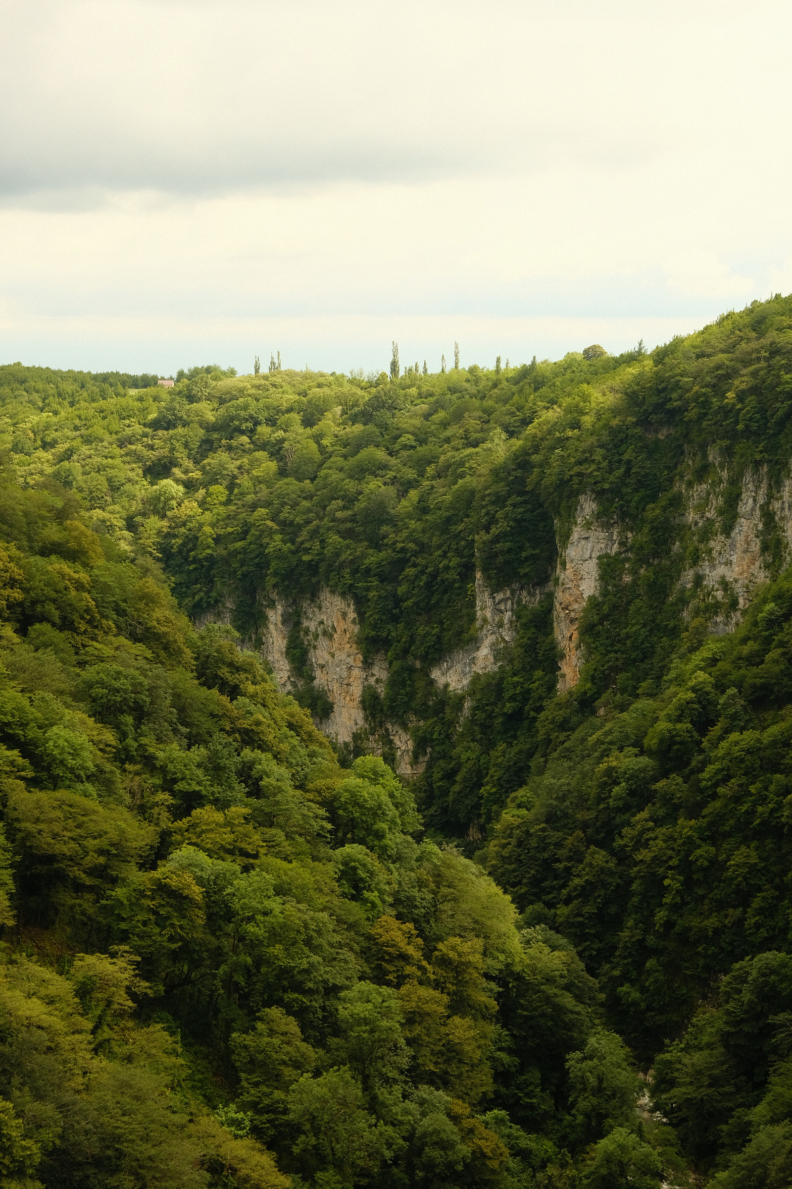 Sakartvelo '26