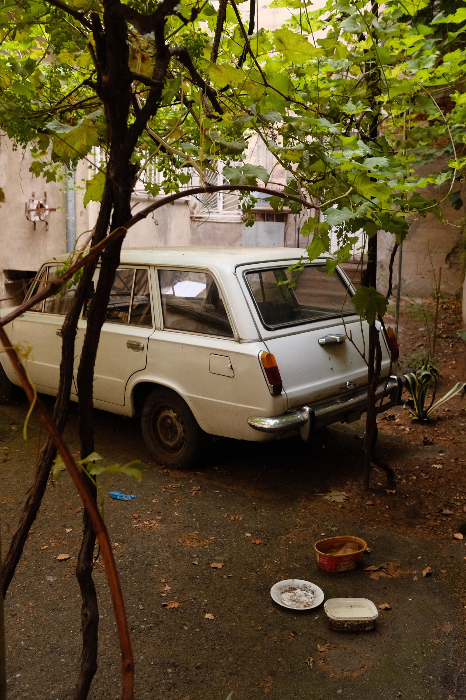 Sakartvelo '26