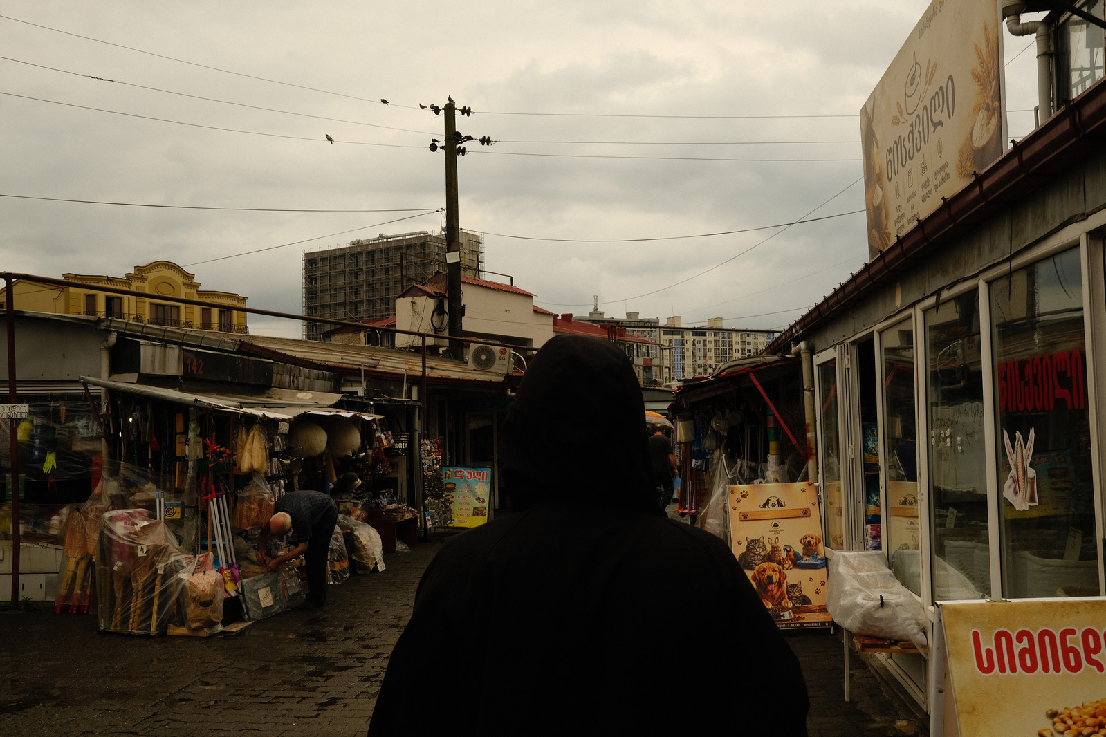 Sakartvelo '26