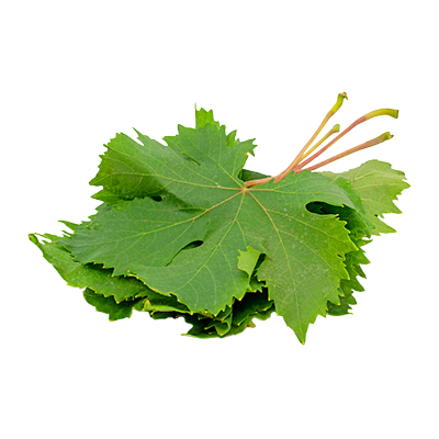 VINE LEAVES
