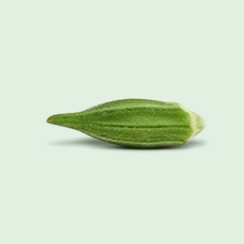 OKRA ONE 4.5 CM TO 5.5 CM