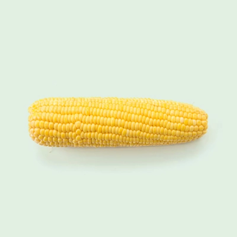 CORN ON THE COB 14CM