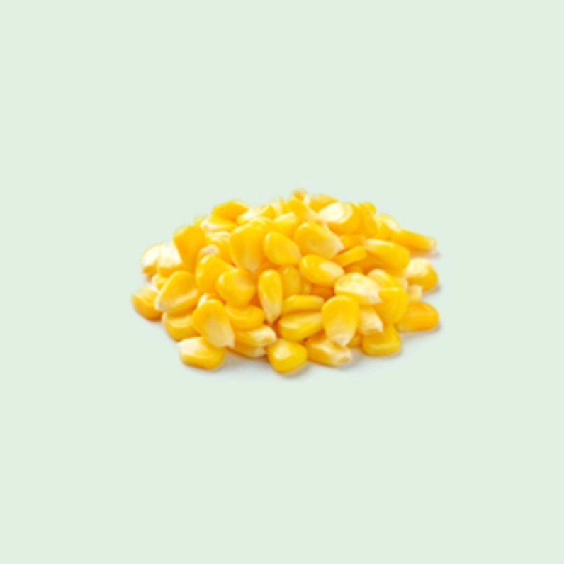 SWEET CORN KERNELS
