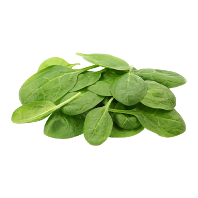 SPINACH