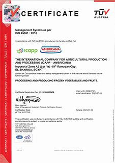 ICAPP ISO45001