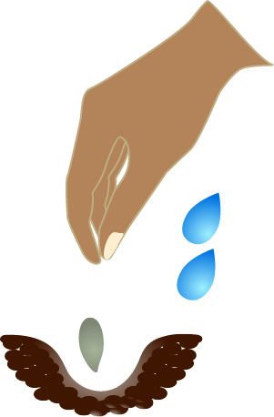 Planting