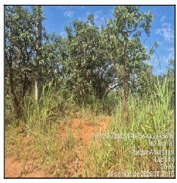 Vende-se em Luziania-GO  Terreno, 2106.80 de área do terreno.