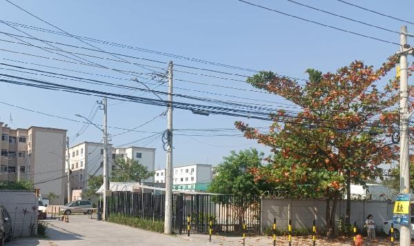 Vende-se em Rio De Janeiro-RJ  apto, 40.54 de área total, 40.54 de área privativa,  2_qto(s), WC, 1_sala(s), cozinha.