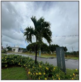 Vende-se em Barra Dos Coqueiros-SE  Terreno, 305.00 de área do terreno.