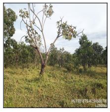 Vende-se em Luziania-GO  Terreno, 5000.00 de área do terreno.